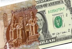 الحكومة تتخبط بين أزمة العملة ومصير الجنيه