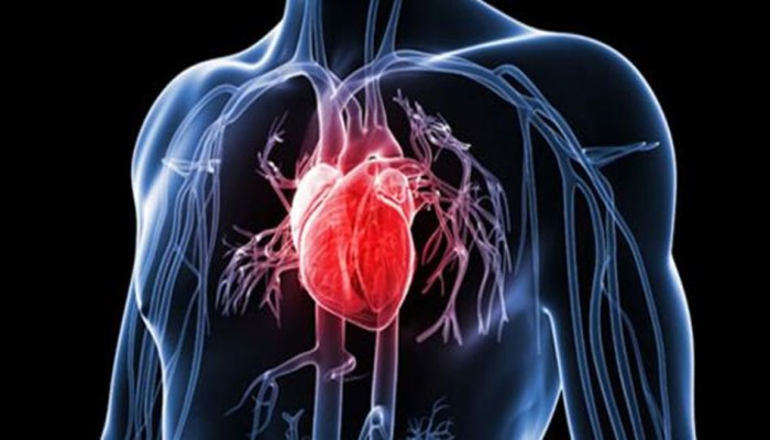 بهذه الأطعمة الثلاثة يمكنك وقاية قلبك من الأمراض