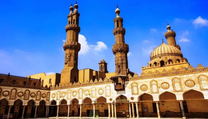 لأول مرة منذ 1000 عام.. سيدة تشغل منصب مستشارة لشيخ الأزهر (بروفايل)