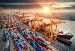 1.5 مليون طن أعلاف بالموانئ .. تكدس البضائع وشح الدولار يفاقم مشكلات المستوردين