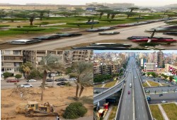 مع استمرار قطع الأشجار.. سكان مصر الجديدة يخشون تكرار سيناريو "الحجاز"