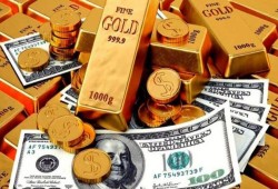 بعد الزيادة ..تعرف على سعر الذهب بسوق الصاغة