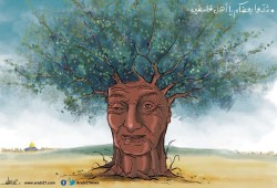 شدوا بعضكم..