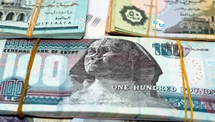 أبرز الرابحين والخاسرين من هبوط الجنيه المصري