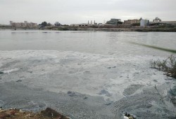 بعدما امتدت يد السيسي .. تلوث بحيرة المنزلة يهدد حياة الملايين