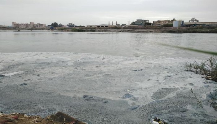 بعدما امتدت يد السيسي .. تلوث بحيرة المنزلة يهدد حياة الملايين