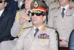 سقوط نموذج السيسي