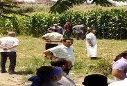 الانفلات الأمنى .. مقتل شاب فى مشاجرة والعثور على جثة فتاة بأرض زراعية فى كرداسة