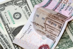 خبراء: الدولار سيصل إلى 37 جنيهًا والتضخم سيرتفع لـ25%