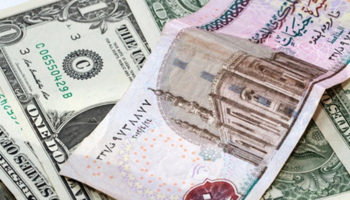 خبراء: الدولار سيصل إلى 37 جنيهًا والتضخم سيرتفع لـ25%