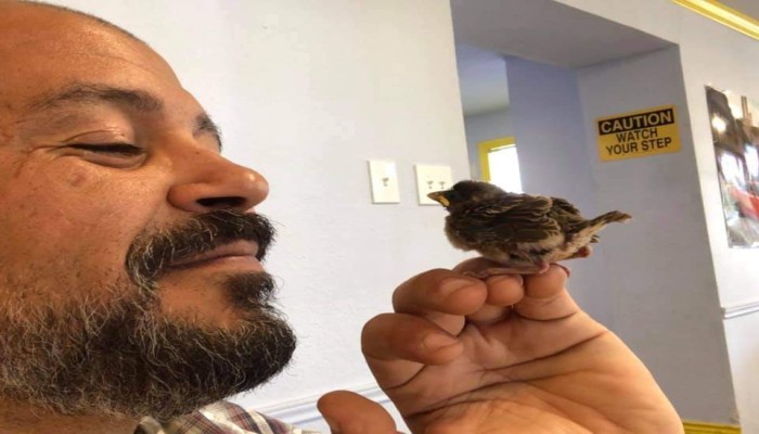 الإمارات تطلق سراح شريف عثمان وتجبره على البقاء بها لحين انتهاء قضيته