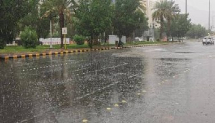 الأرصاد: أمطار على السواحل الشمالية.. والصغرى بالقاهرة 13 درجة