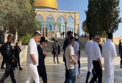 عشرات المستوطنين يقتحمون "الأقصى" بحراسة مشددة