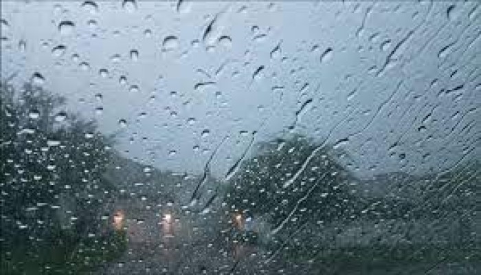 أمطار غزيرة ورعدية وشبورة وأجواء باردة حتى الأحد المقبل