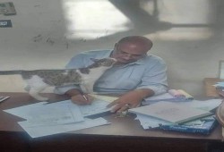 هاشتاج (المصالح الحكومية) يكشف مؤامرة بمكاتب عكننة المصريين