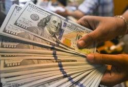 الدولار يتخطى الـ 32.. سقوط مدوٍ للجنيه واضطراب في حركة الأسواق