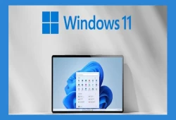 6 ميزات جديدة في ويندوز 11 تجب تجربتها