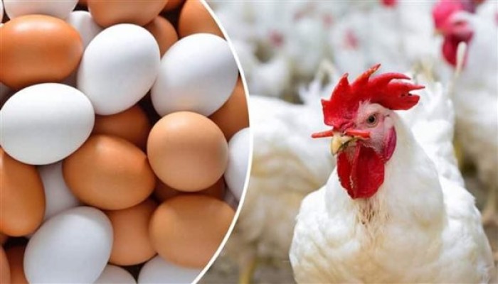 "نيويورك تايمز": اللحوم أصبحت خارج مائدة المصريين والبيض رفاهية