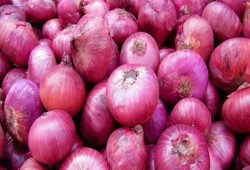ليبيا تضبط شحنات من البصل المصري غير صالحة للاستهلاك الآدمي