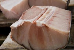 بعد انتشار لحم أسماك القرش في الأسواق المصرية.. خبير: "به سم قاتل"