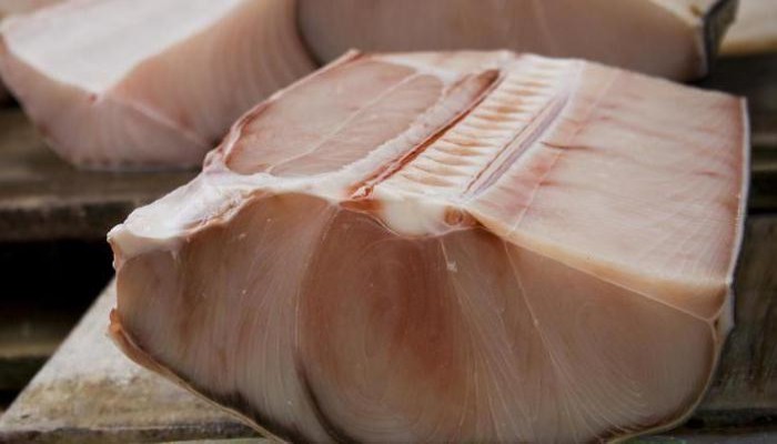 بعد انتشار لحم أسماك القرش في الأسواق المصرية.. خبير: "به سم قاتل"