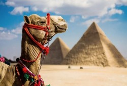 بعد انخفاض تحويلات الخارج .. ما هي البدائل الدولارية المضمونة؟!