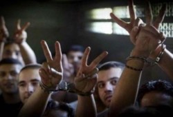رفضا لإجراءات التضييق.. أسرى فلسطينيون يعتصمون في ساحات سجون الاحتلال