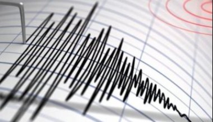 البحوث الفلكية: الهزة الأرضية كانت على بعد 27 كيلو متر شمال السويس