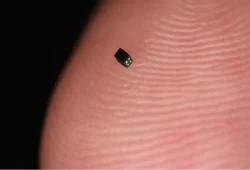 بحجم حبة رمل.. باحثون من جامعة أمريكية يبتكرون أصغر كاميرا في العالم
