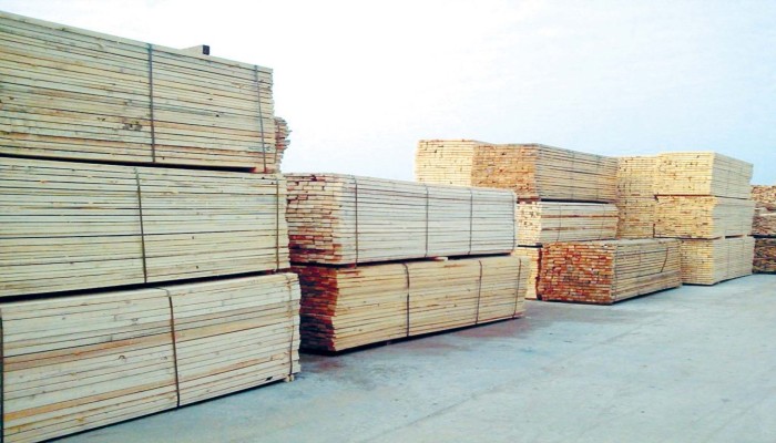 رغم الركود.. ارتفاعات جديدة بأسعار الأخشاب