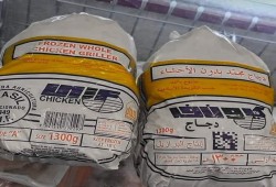 معفاة من الجمارك والضرائب .. "جهة سيادية" تحتكر استيراد وتوزيع الدواجن واللحوم المجمدة
