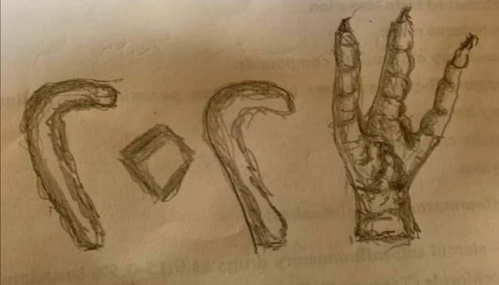 "خلاها مجاعة" حملة الكترونية تحمل إجابات المصريين عن "اللي بيحصل فالبلد"!