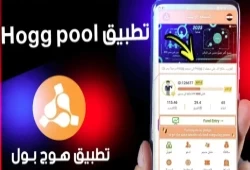 سرقت 6 مليارات جنيه من المصريين.. القصة الكامل لمنصة "هوج بول"