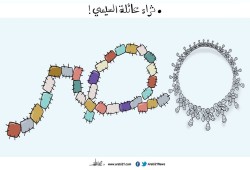 ثراء عائلة السيسي