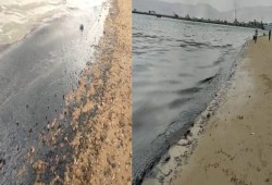 مطالبات بملاحقة المتسبب بتلوث نفطي شاطئ "خليج السويس" بطول 260 مترا