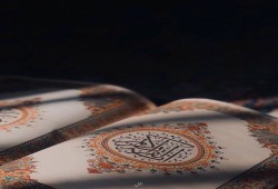 إدانات علمائية ودولية واسعة لحرق الدنمارك نسخ المصحف الشريف