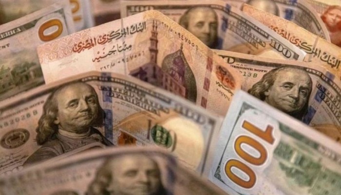 بين تعويم الجنيه ورفع الفائدة.. 4 إجراءات مؤلمة تصدم المصريين