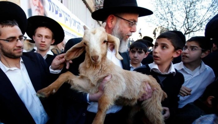 الشيخ عكرمة صبري يحذر من مكيدة كبيرة للأقصى تزامناً مع عيد الفصح