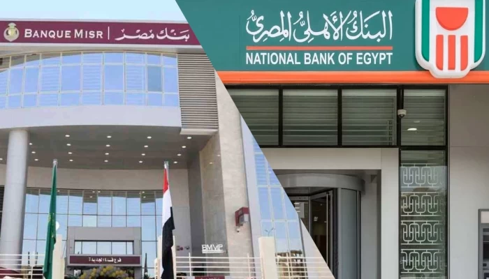 هل طرح شهادات بنكية بفائدة 22% يكبح جماح التضخم في مصر؟.. خبراء يجيبون