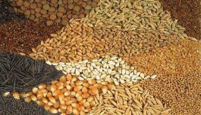“الأعلاف” تسجل ارتفاعات قياسية وسعر الطن يصل لـ28 ألف جنيه