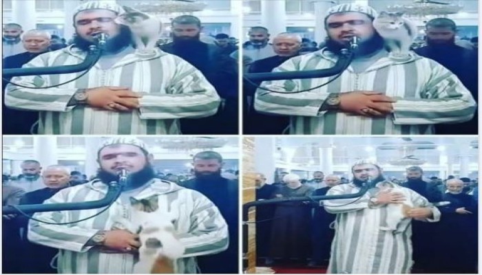فيديو "القطة والإمام" يحقق مشاهدات قياسية
