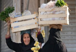 خبيرة اقتصادية: خفض الجنيه لا يضمن تدفق الاستثمارات وقد يتأخر لهذا السبب