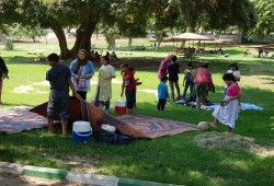 نروح فين ف العيد؟..الحدائق والنيل أرخص وأفضل أماكن الخروج في القاهرة