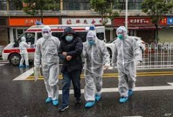 عالم صيني: قد لا نكتشف من أين جاء فيروس كورونا