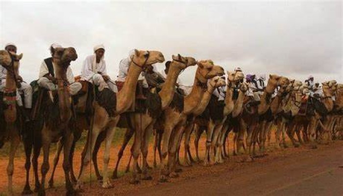 تعبئة عسكرية مع حدود السودان.. وتقرير رسمي يضع شلاتين بخريطة التجنيد