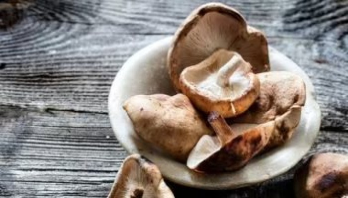 أنواع من المشروم تبطئ نمو الخلايا السرطانية