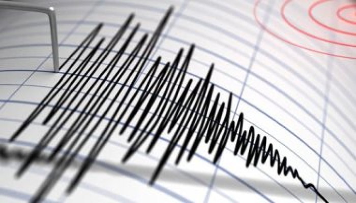 البحوث الفلكية: هزة أرضية على بعد 33 كيلو جنوب غرب الطور بقوة 3.8 ريختر
