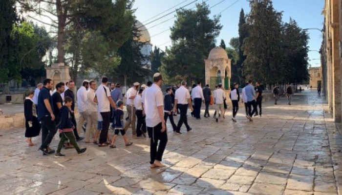 اقتحام جديد للأقصى.. ودعوات لإعمار المسجد الخميس للتصدي لـ"مسيرة الأعلام" الصهيونية