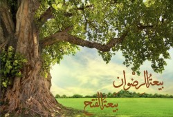 رسالتنا.. دروس وفرص من الفتح المبين