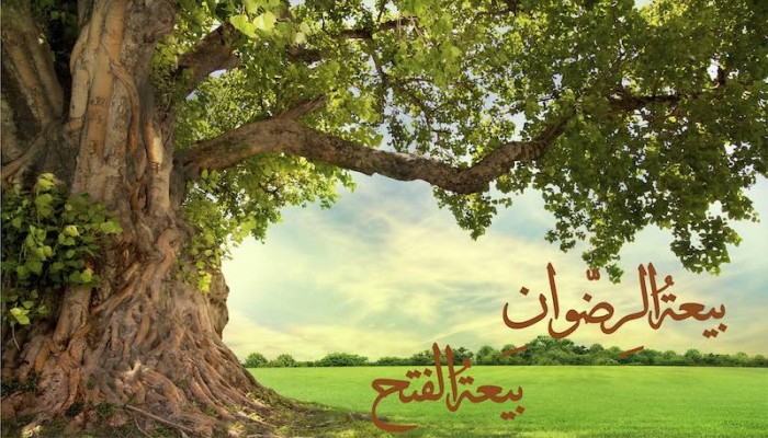 رسالتنا.. دروس وفرص من الفتح المبين